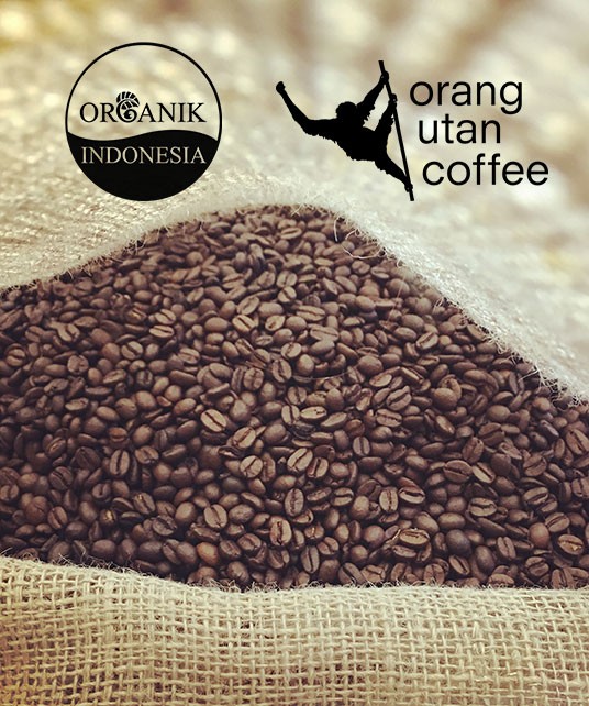 OrangUtan Café en grano Marabans