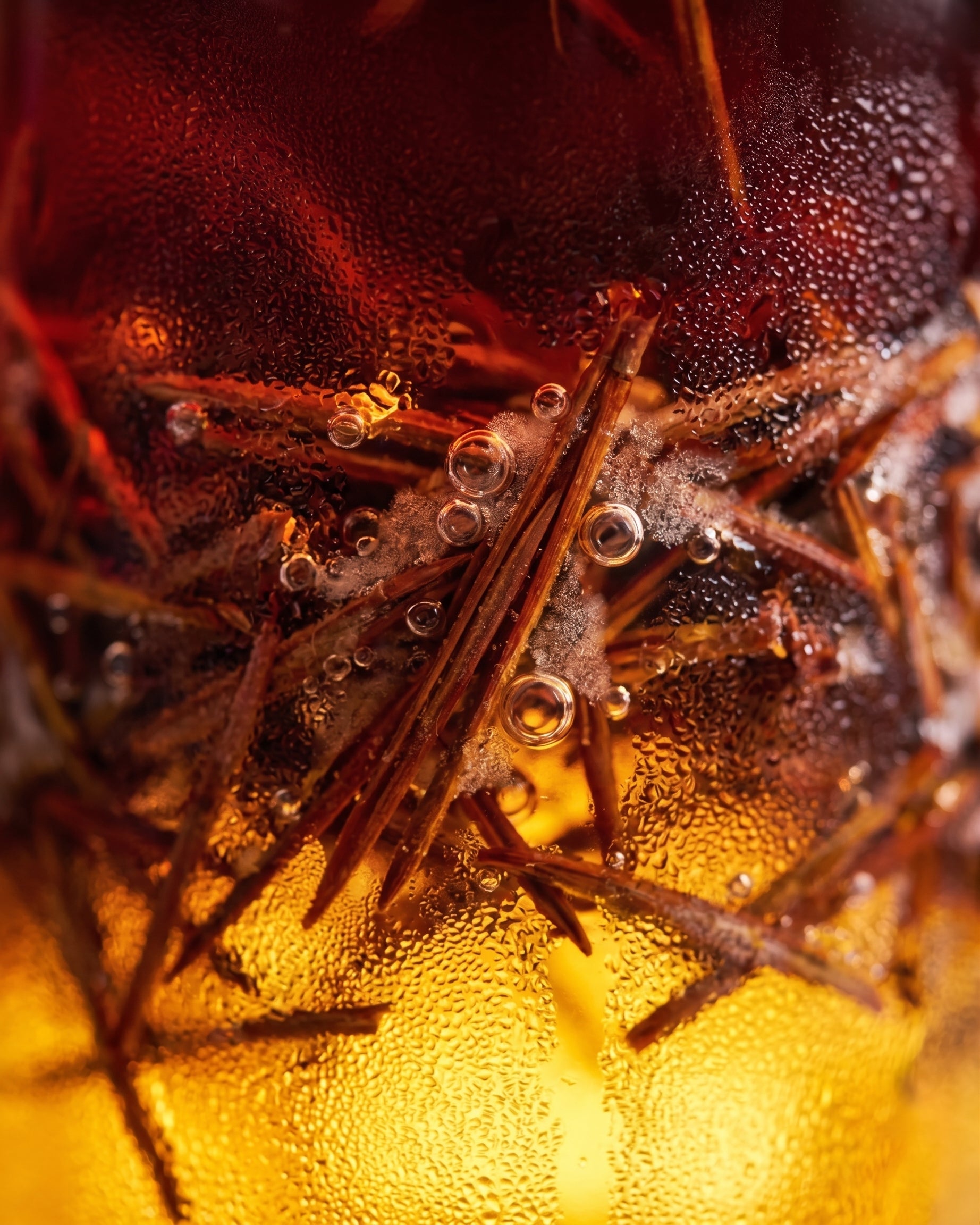 Rooibos