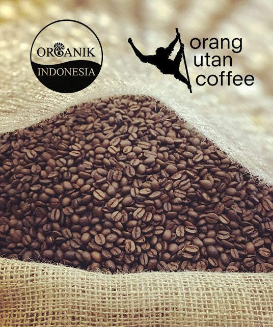 OrangUtan Café en grano Marabans 1 kg