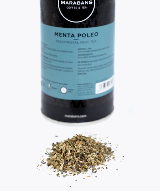 Menta poleo